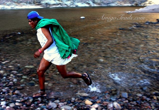 Indian runner