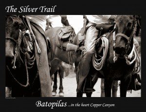 silver trail